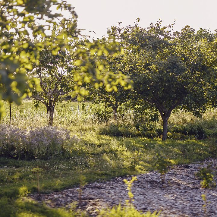 Farm